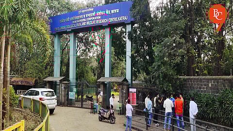 Stagnant Water Threatens Animals at Rajiv Gandhi Zoological Park, Pune