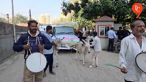 Pune: Junnar Man Uses Donkey to Tow Faulty Thar to Wakad Showroom in Dramatic Protest