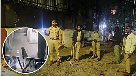 Pune: Leopard Sighting Sparks Panic in Aundh’s RBI Colony- Sindh Society 