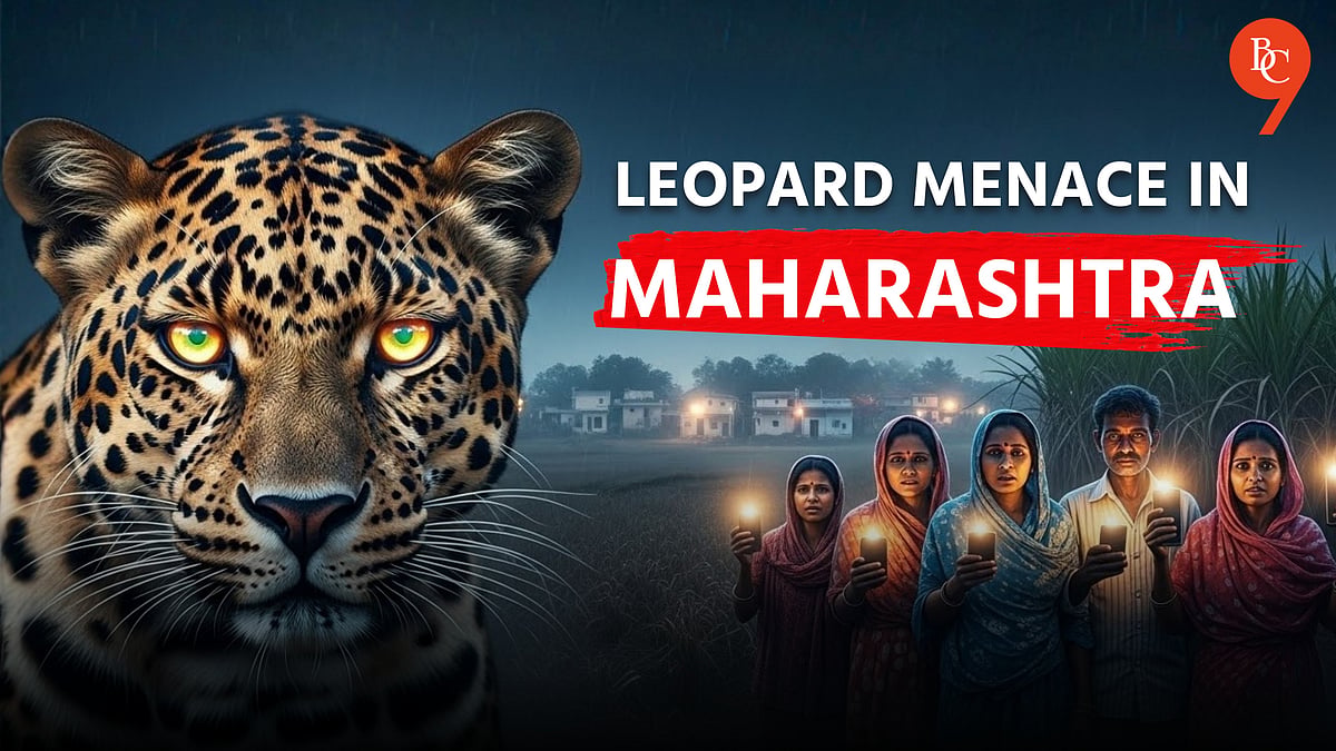 Rising Leopard Encounters in Maharashtra: Understanding the Growing ...