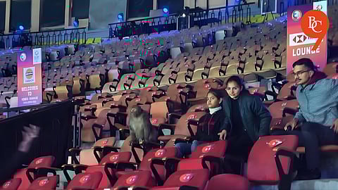 Pollution, pigeons, and now a monkey, instead of audience at the India Open