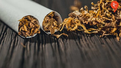 is grabba and tobacco the same Grabba Leaf