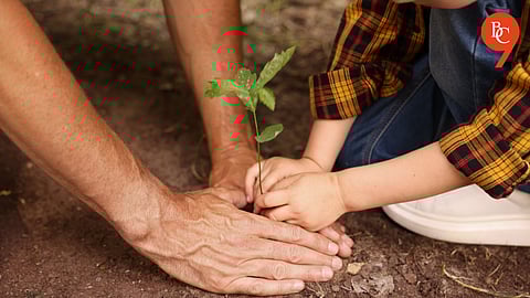 Pune: Environmentalist Ravindra Sinha Questions Feasibility of 50 Lakh Tree Plantation Plan