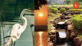 Top Places to Visit Near Pune to Beat the Summer Heat