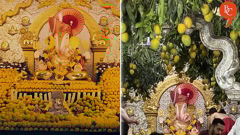 Pune: Dagdusheth Ganpati Receives Sacred Offering of 11,000 Mangoes on Akshaya Tritiya