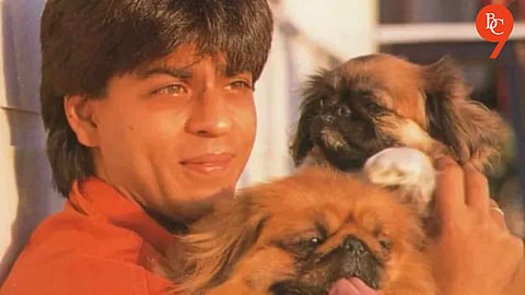 When Shah Rukh Khan Dug Up His Pet Dog to Give Him a Proper Burial: ‘How Dare You Throw Him Away’