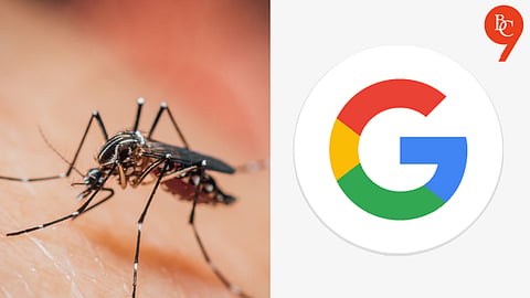 Google Wants to Release 32 Million Mosquitoes in These Places — The Reason Will Surprise You