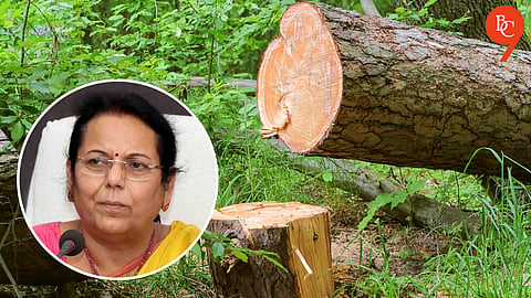 Neelam Gorhe Urges Pune Civic Body to Widen Ganeshkhind Road Without Cutting 529 Trees