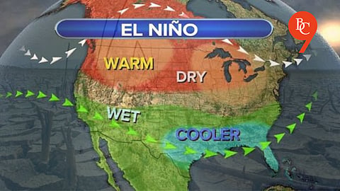 El Nino May Trigger Fodder Shortage, Animal Husbandry Department Issues Advisory to Livestock Owners