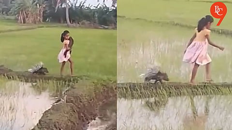‘Real-Life Disney Princess’: Sri Lankan Girl Strolling Through Paddy Fields with Pet Porcupine Charms Internet