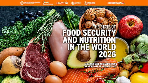 Global hunger falls worldwide, but climate shocks and trade risks threaten gains, UN warns