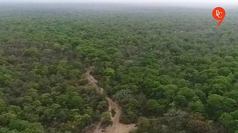 Top Court Quashes 2021 Ex Post Facto Environment Clearance Order, Upholds Government Authority to Grant Amnesty