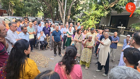 Pune: Over 480 Trees Face Axe for Proposed Kothrud Road; Residents Threaten Legal Action