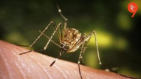 Japanese Encephalitis Virus Genotype I Detected in Mosquitoes in Assam, Finds Pune’s NIV