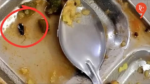 Pune University Girls’ Hostel Mess Shut After FDA Finds Cockroach Infestation