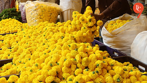 Pune: Gultekdi Market Yard Sees Heavy Marigold Arrivals Ahead of Dussehra