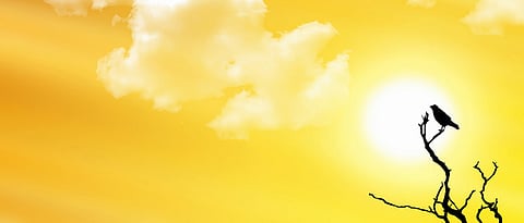 Pune records 40.10 Celsius day temperature on Thursday, season's highest so far