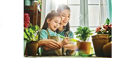 Winter care for plants