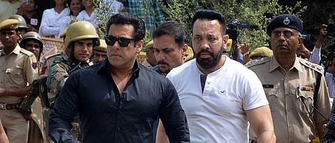 Salman Khan gets bail in black buck poaching case