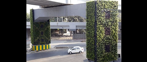 Vertical gardens will adorn metro rail pillars to curb air pollution