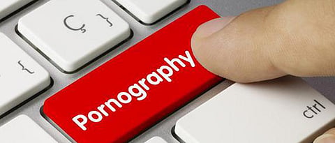 ‘Need efforts from stakeholders to crack down on child pornography’
