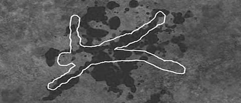 Haryana based TikTok star murdered by rejected lover