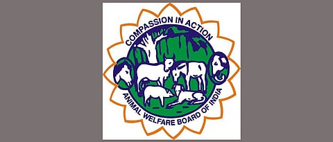 AWBI cancels HAWO ID cards owing to misuse