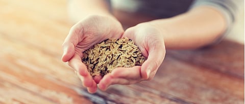 Eating whole grains helps cut diabetes risk