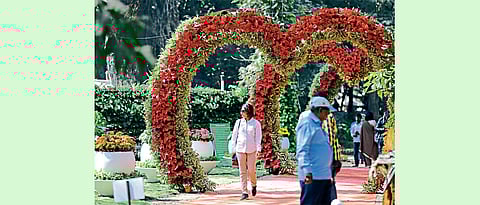 18th flower show kicks off at Empress Garden