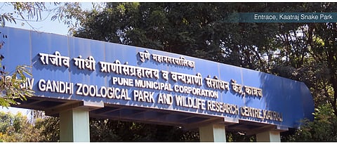 Now, elephants at Rajiv Gandhi Zoo to get a pool