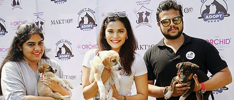 Pet adoption camp organised on R-Day