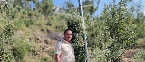 Uttarakhand farmer earns Guinness Book of World Records for tallest coriander plant