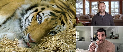 Coronavirus: New documentary explores effects of pandemic on animals