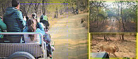 He came, he saw, he conquered!