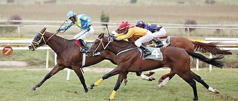 Raees wins in closing stage of Suresh Mahindra Trophy