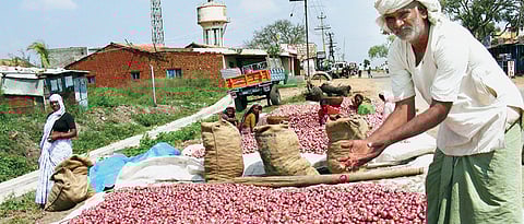 Soon, 25 onion storage facilities in Maharashtra