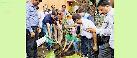 Tree plantation drive conducted in the city