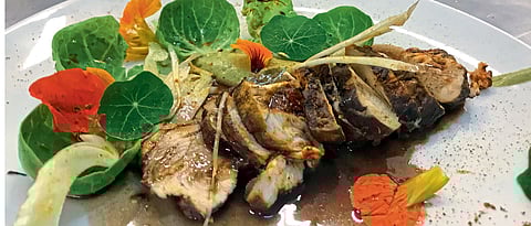 On a new culinary mission