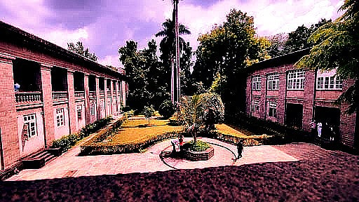 Pune: Tiffin Hall on Terrace Provides Relief to Shivajinagar District ...
