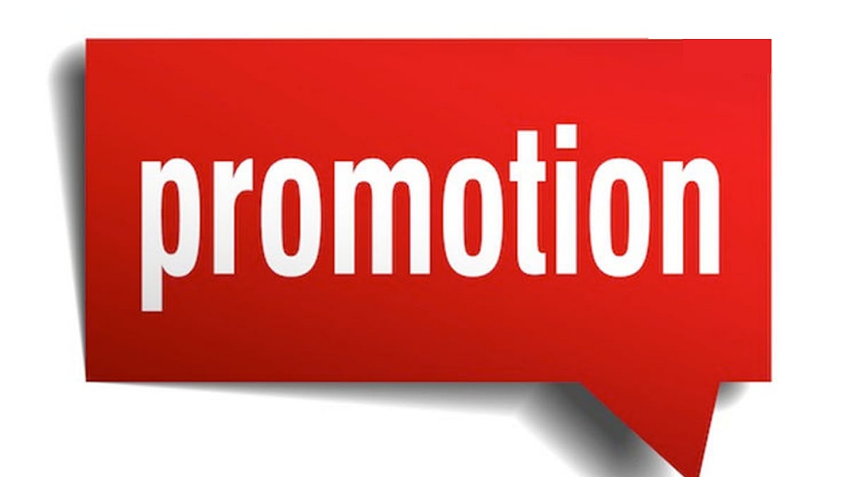 Maharashtra: Temporary Promotions Granted to Ten Officers in Education ...