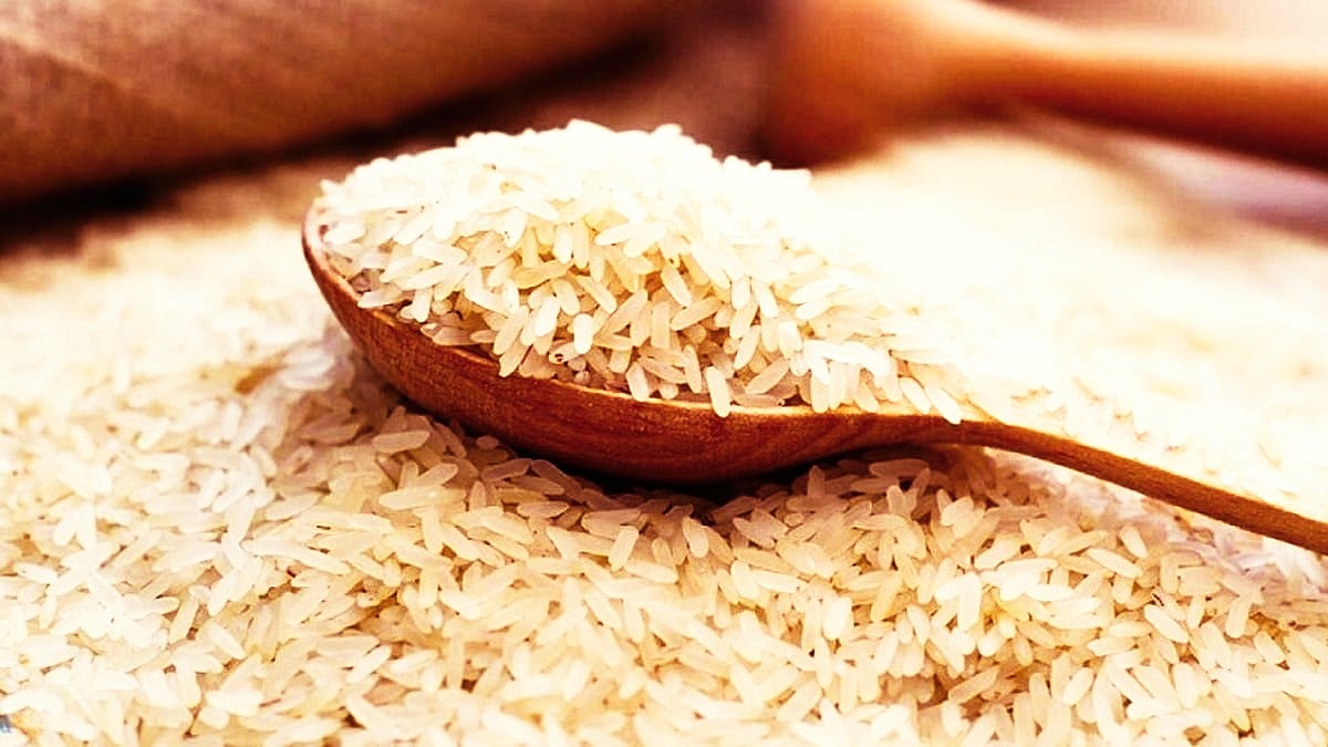 Rice Production and Exports on Rise | TheBridgeChronicle