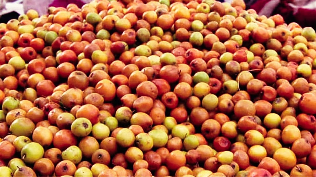 Makar Sankranti: Flowers and Fruits in High Demand, Bor and Lemon ...