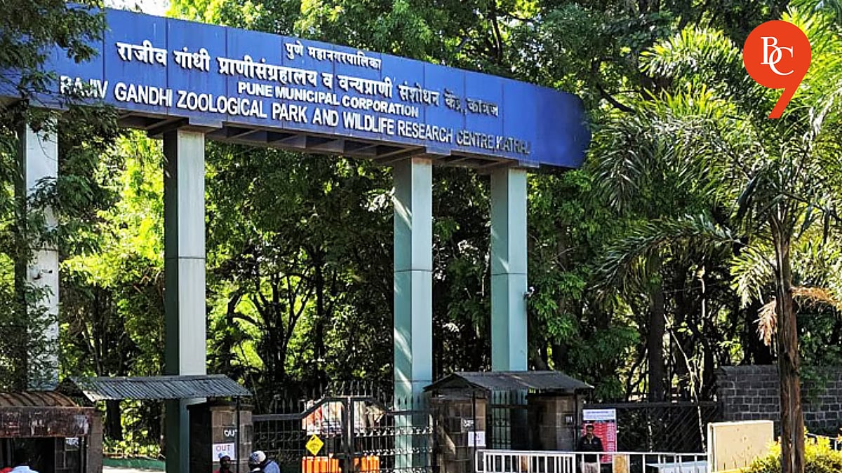 Pune Zoo: 16 Deer Die, Senior Officials Face Scrutiny | Pune News