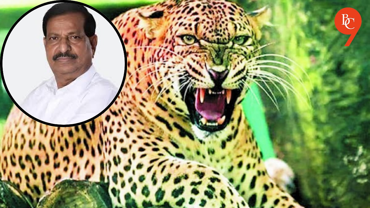 Pune: Forest Minister Orders ‘Man-Eater’ Leopard Elimination; Job ...