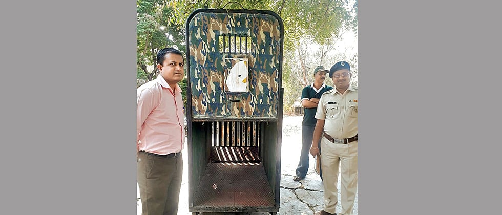 5 new cages for leopards at MLRC