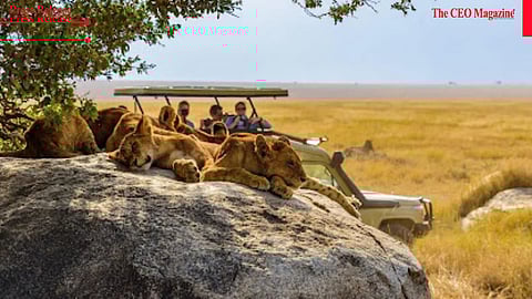 Explore Wild Africa in Luxury with Joy N Crew’s Kenya Tour