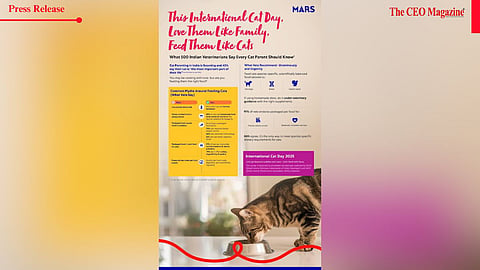 New Data Debunks Cat Food Myths with Veterinary Support on International Cat Day