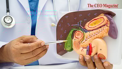 Deep Inside the Body A Study of the Basal Ganglia Structures and Gallbladder Position