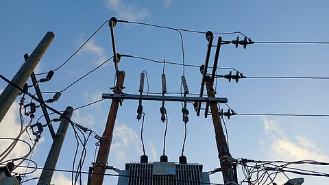 Standard vs Customized Transformers: Which One Should You Choose?