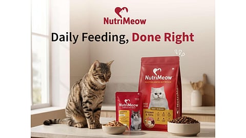 NutriMeow Enters the Indian Cat Food Market to Challenge the Gap Between Quality and Affordable Nutrition